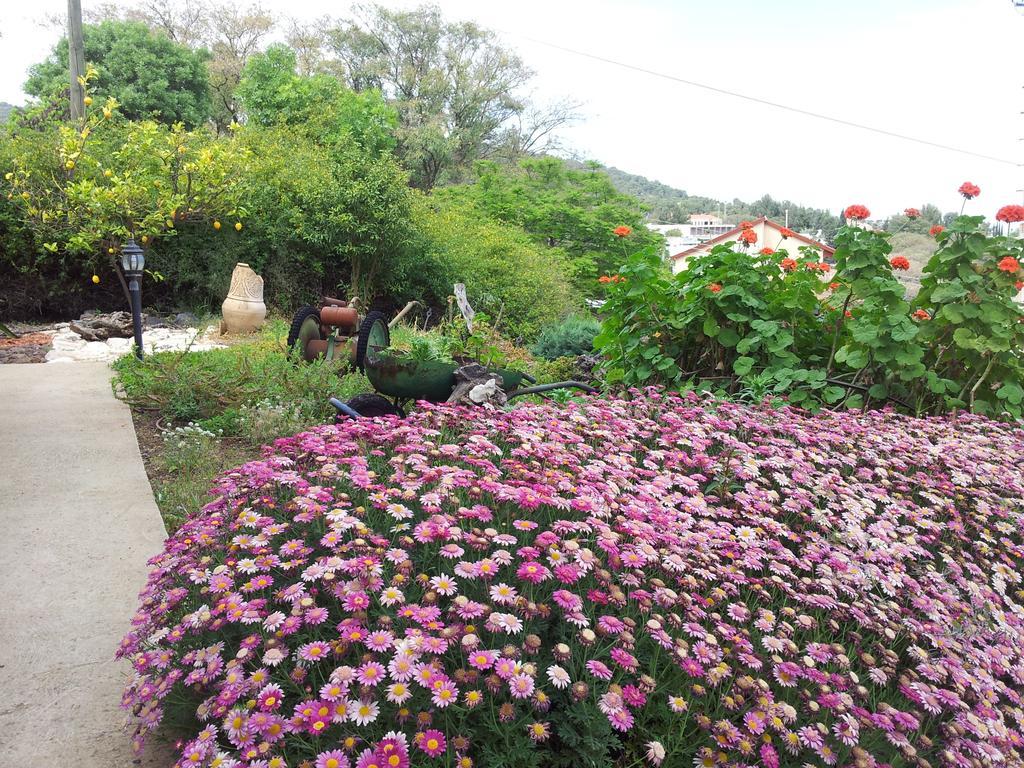 Shwartzimmer โรชปินนา ภายนอก รูปภาพ